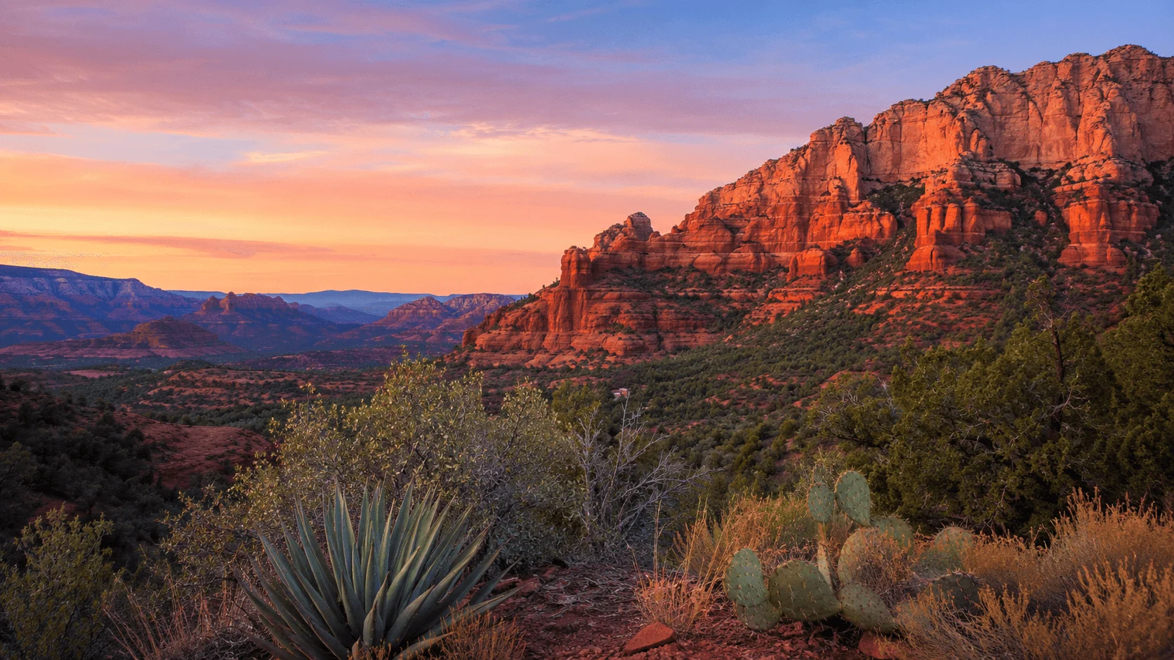 Sunset over red cliffs and desert plants