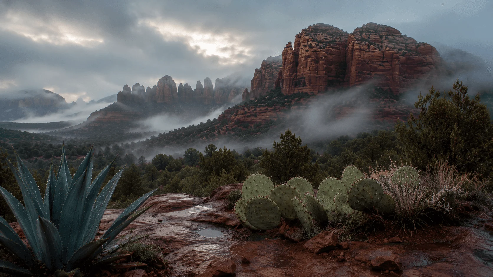Mist around red-rock cliffs and desert vegetation