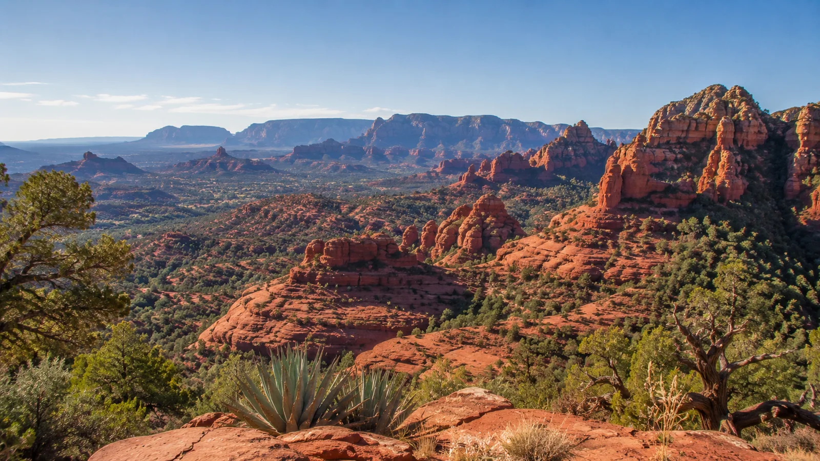 AI-generated illustration: a wide view across red-rock formations and desert plants