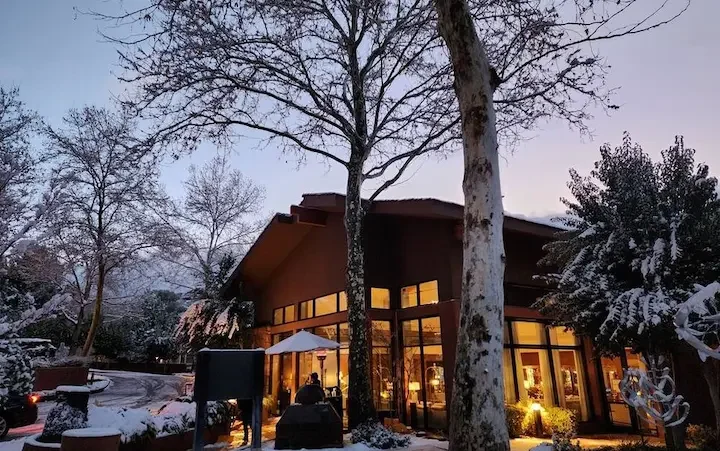 A warmly lit shop beneath snow-covered trees