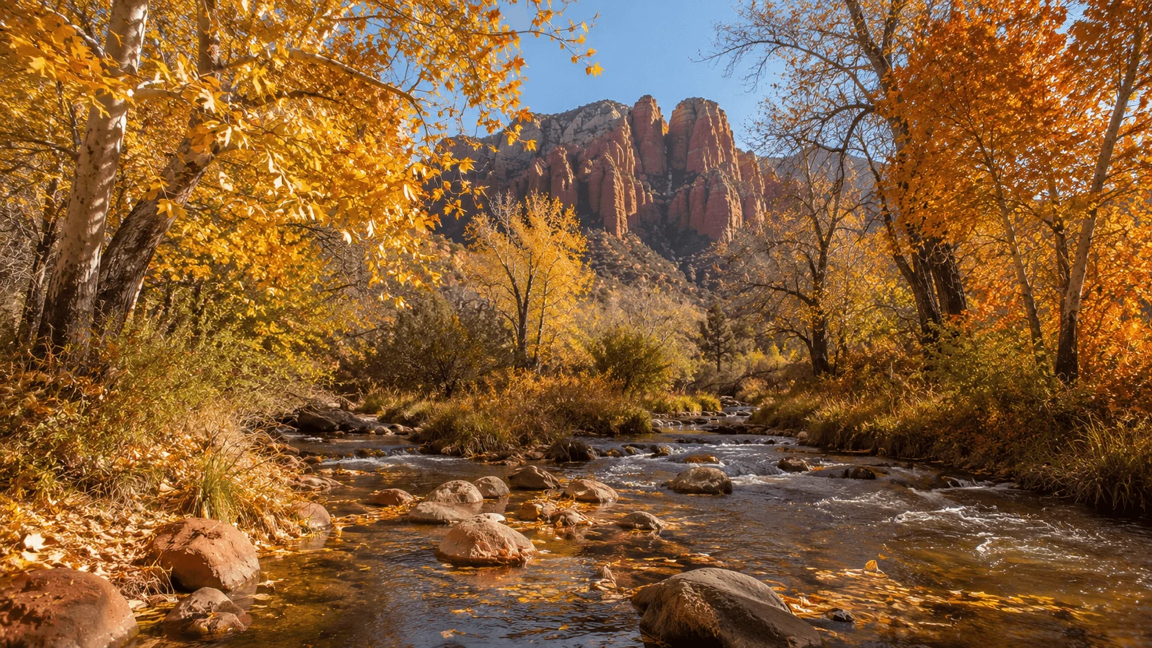 A rocky stream beneath autumn trees